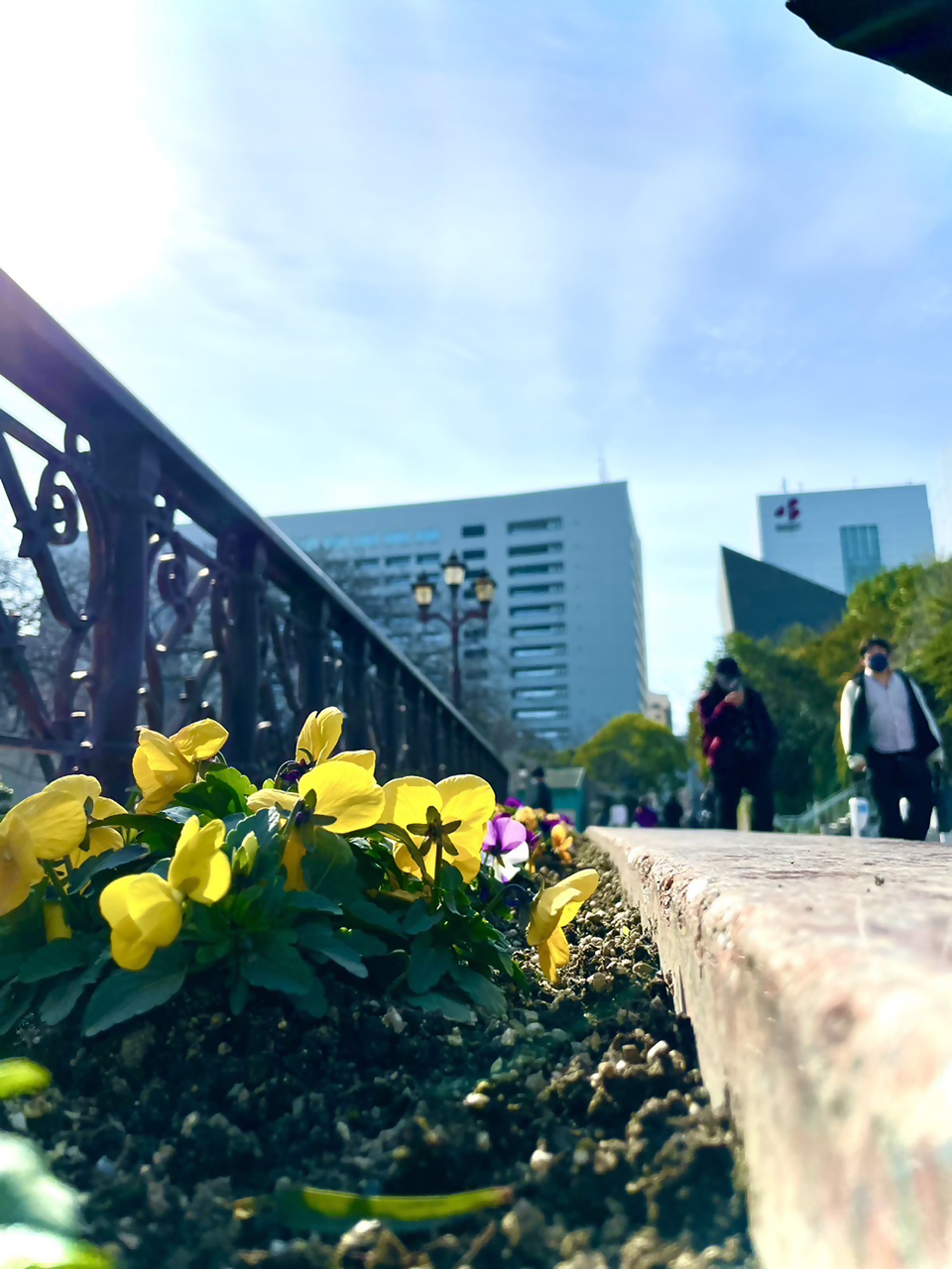 表彰部門光の写真