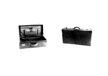 画像:トランク＜大＞