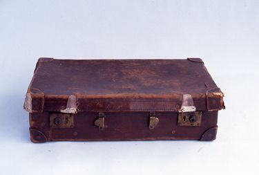 画像:トランク＜中＞