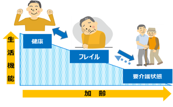 図では、フレイルは健康な状態と要介護状態の間の状態であることを示しています。