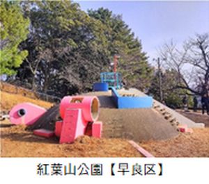 紅葉山公園のカメの遊具の写真