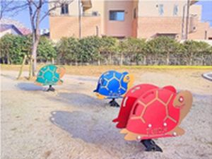 姪浜明治通公園の子ガメの写真