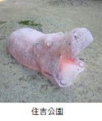 住吉公園のカバの遊具の写真