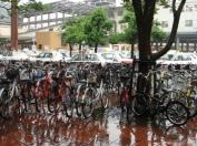 歩道にあふれる放置自転車の拡大画像