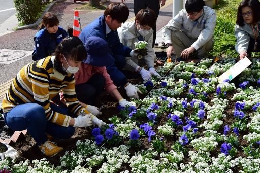 植え替えの様子