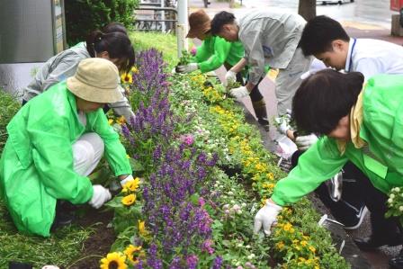はかた花と緑の会の皆さんと区職員