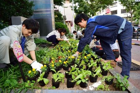 植え替え作業を行う区職員
