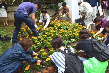 はかた花と緑の会の皆さんと区職員２