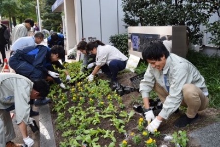 植え替え作業を行う区職員