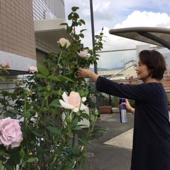 三筑公民館の花