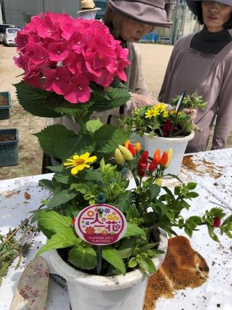 完成した寄せ植え