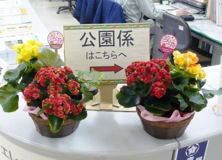 ３階窓口（花）