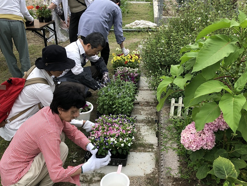 寄せ植えの様子