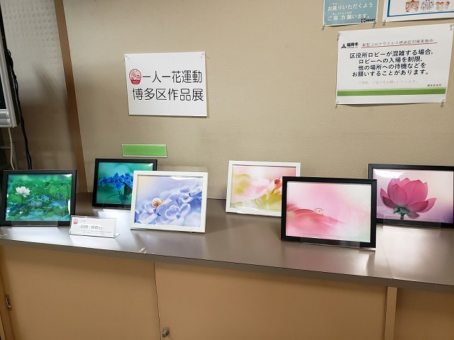 画像：展示の様子