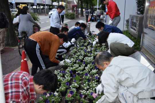 植え替えの様子