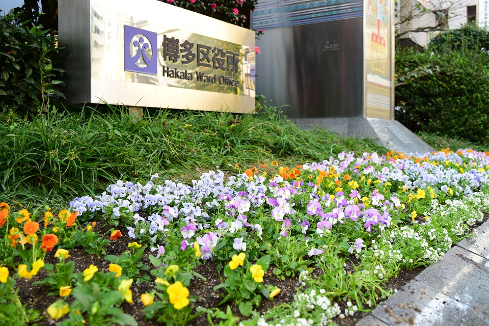 区役所花壇