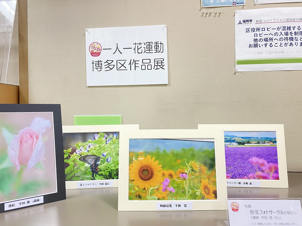 作品展6