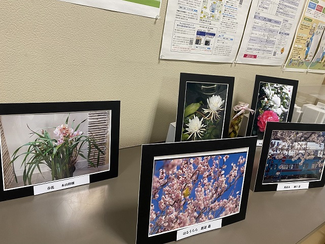 板付フォトサークルの皆さんの作品