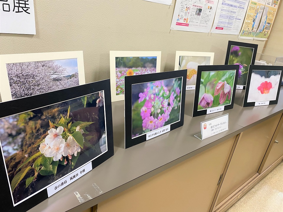 板付フォトサークルの作品