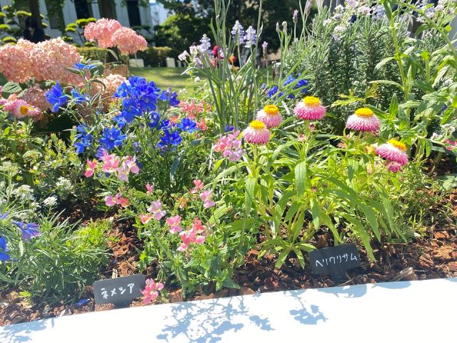 正興電機花壇２