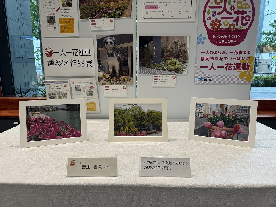 一人一花運動博多区作品展の7月の様子。白い額縁に入った写真が３枚飾られている。