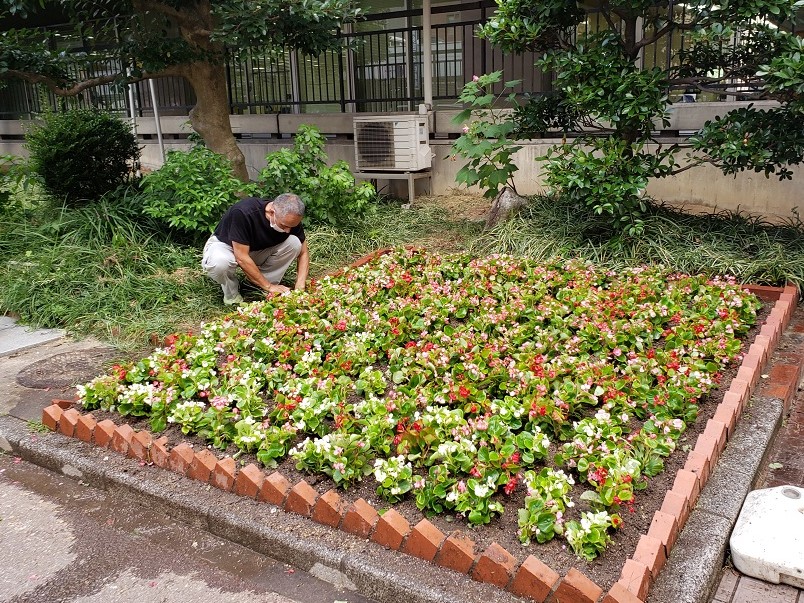 博多区役所花壇植え替え写真