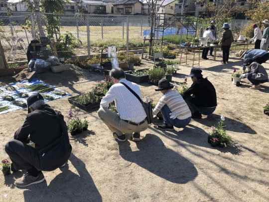 寄せ植え作業の写真