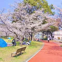 この他の「博多の魅力」スポットの写真２