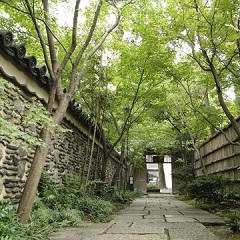 この他の「博多の魅力」スポットの写真４