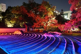 優秀賞の写真「承天寺」