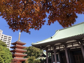 優秀賞の写真「東長寺」