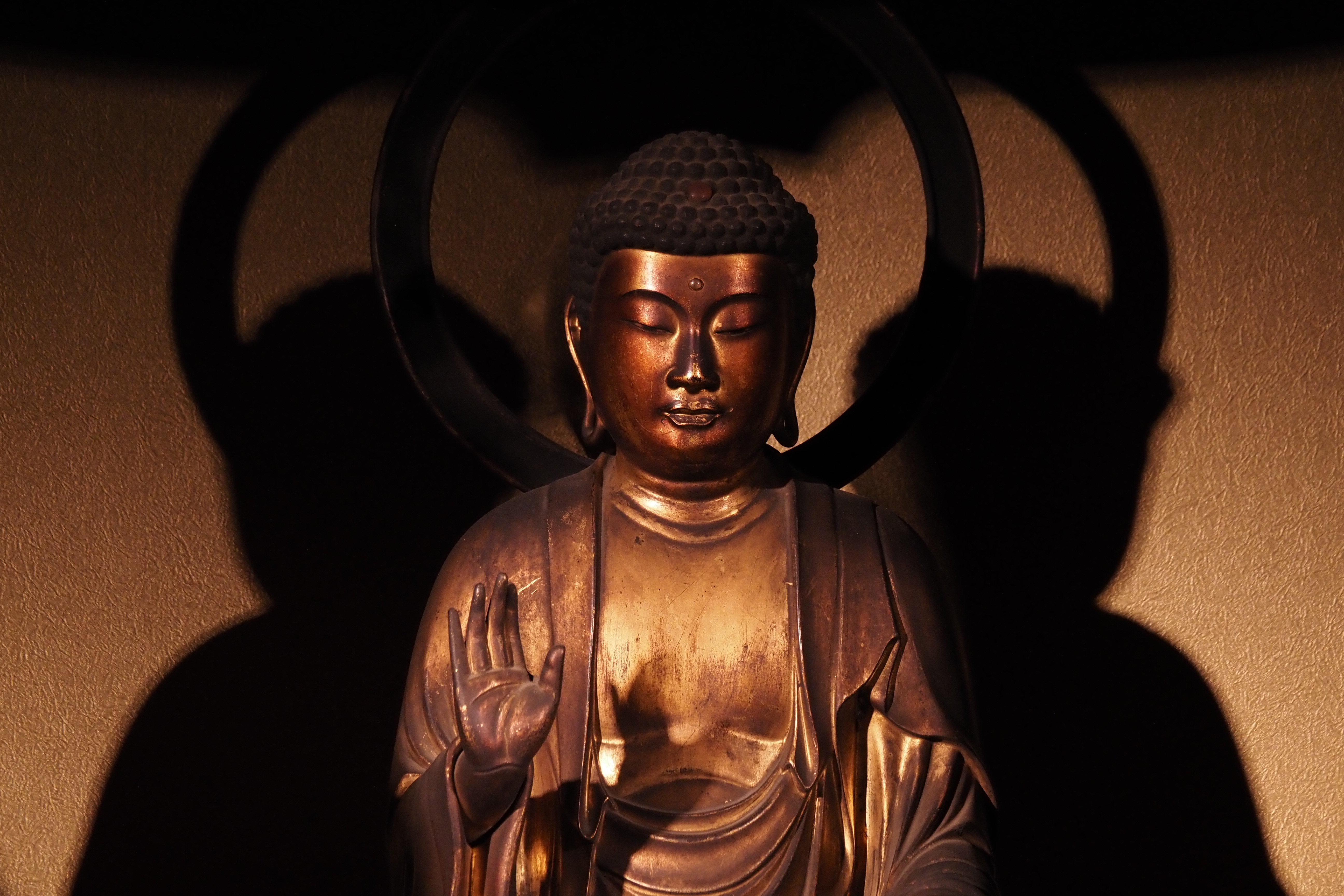 永寿院「本堂」の写真