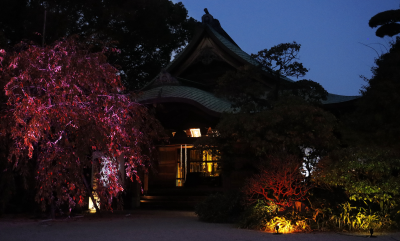 学生が撮影したもので、植栽が照らされている写真