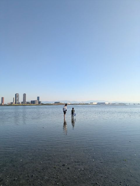 和白干潟
