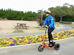 雁の巣レクリエーションの写真