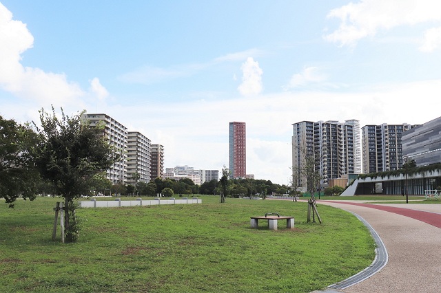 グリーンベルト