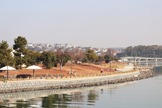 アイランドシティ外周緑地