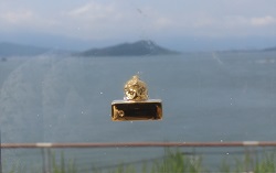 金印のレプリカの写真