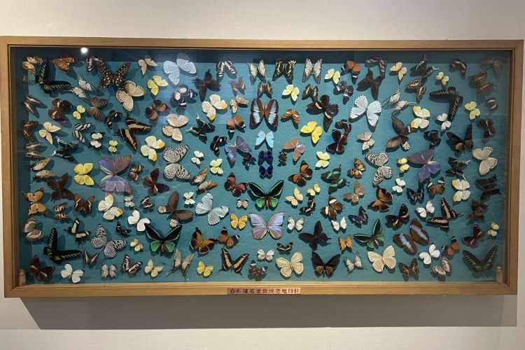 九州大学総合研究博物館の展示物