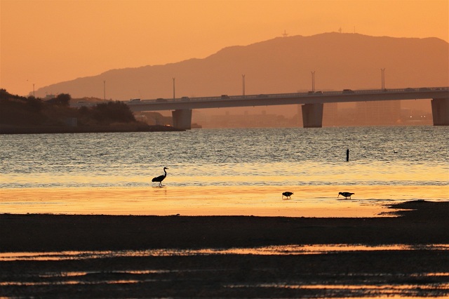 和白干潟 夕暮れ