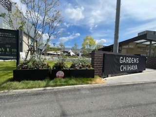 花壇全体の写真です