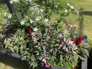 角度を変えた花壇の写真です