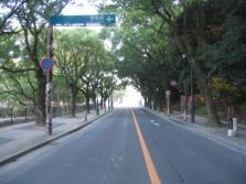 香椎参道の写真1