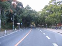 香椎参道の写真2