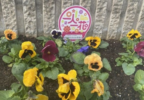 花壇の花と一人一花運動のピックの写真