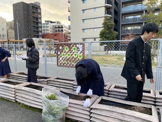 ホーム花壇の土づくりをしています
