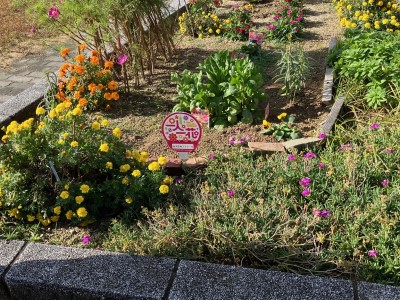 花壇の全体写真