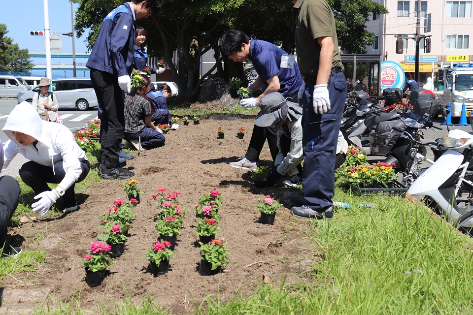 区役所花壇に花を植えてます