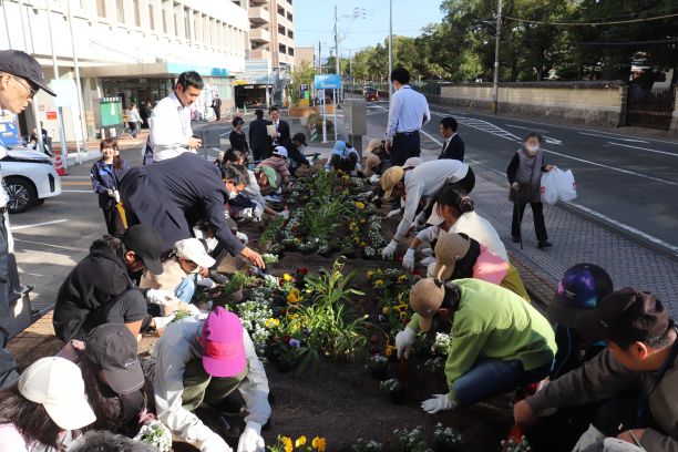区役所花壇に花を植えてます