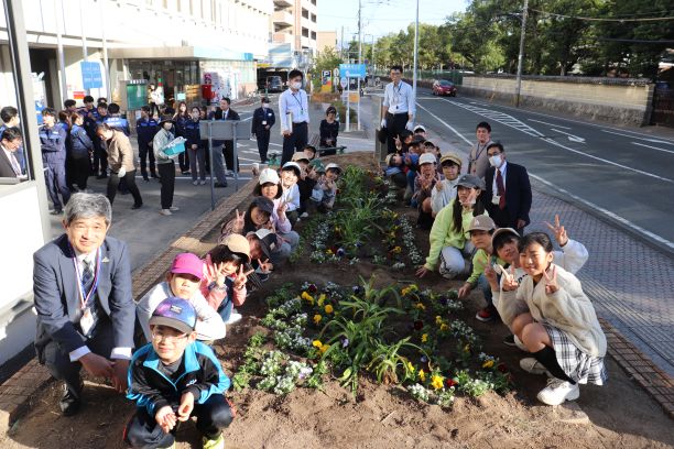 区役所花壇に花を植えてます